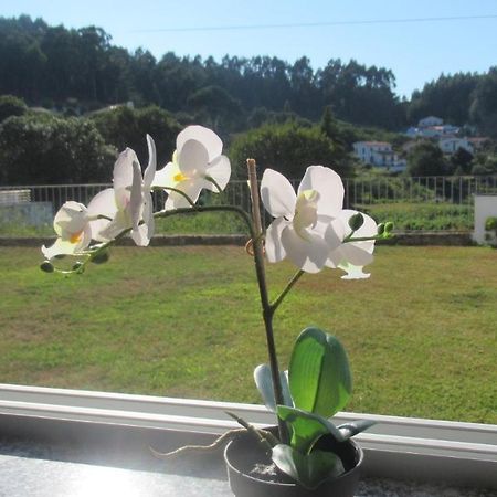 Al Casa De Sao Roque Villa Caminha Buitenkant foto
